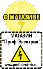 Магазин электрооборудования Проф-Электрик Автомобильный инвертор чистый синус купить в Лесне